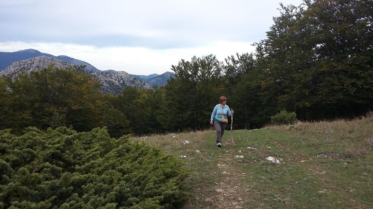 Montagne Rocciose Bed & Breakfast Frascineto ภายนอก รูปภาพ